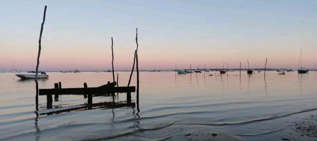4 Etoiles Les Viviers Cap Ferret
