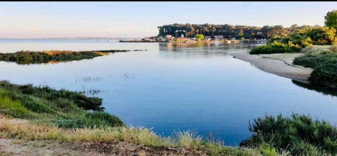 4 Etoiles Les Viviers Cap Ferret Campsite